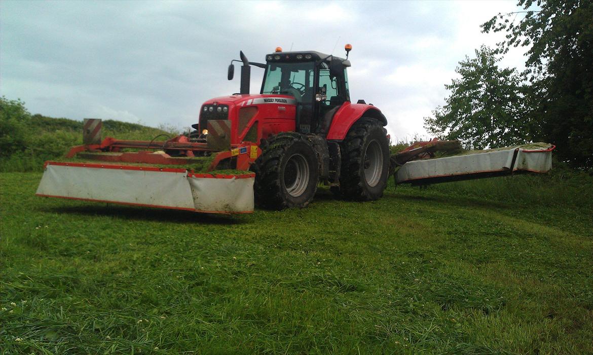 Massey Ferguson 8480 billede 1