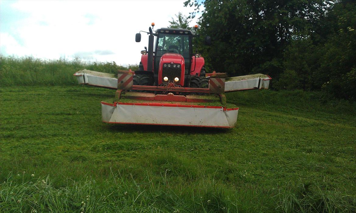 Massey Ferguson 8480 billede 2