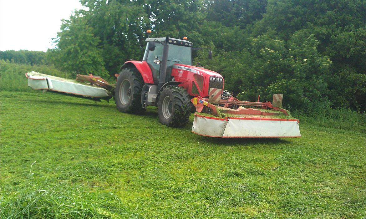 Massey Ferguson 8480 billede 3