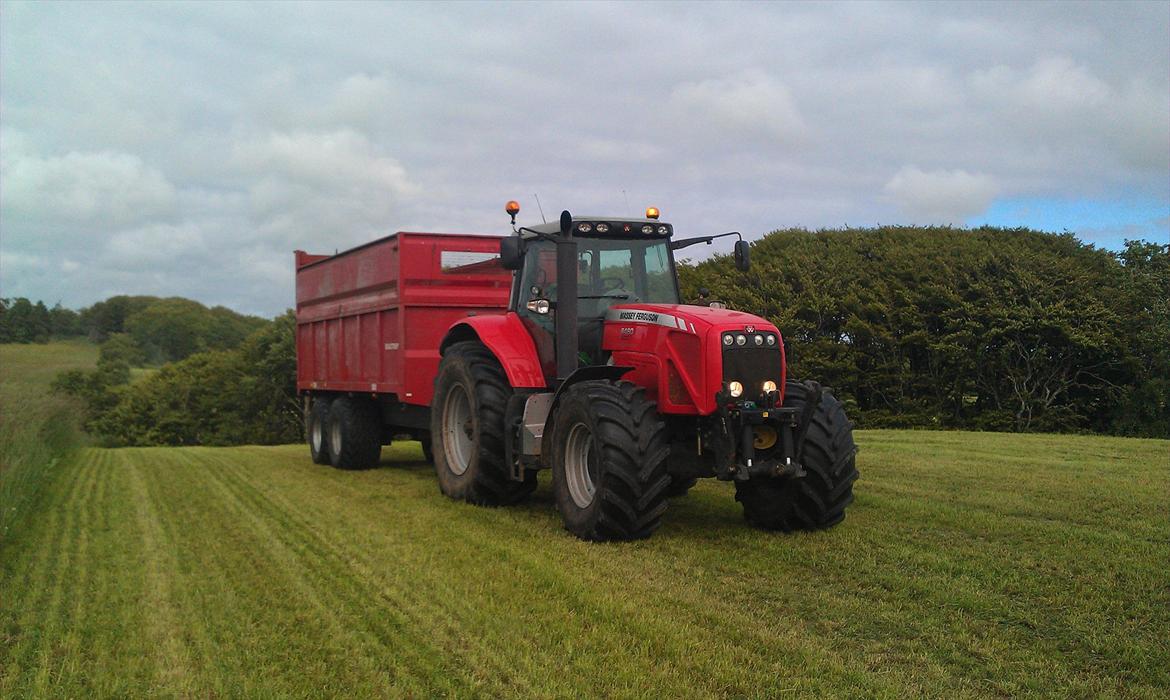 Massey Ferguson 8480 billede 10