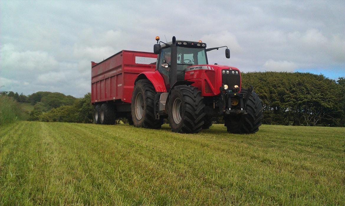 Massey Ferguson 8480 billede 11