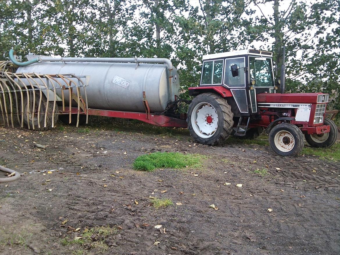 International Harvester 844s billede 3