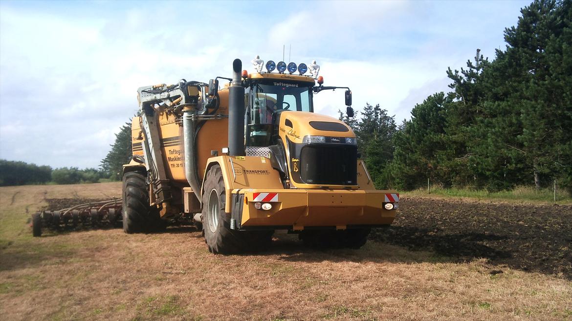 Challenger Terra gator 3244 billede 4