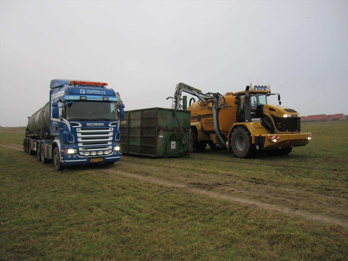 Challenger Terra gator 3244 billede 11