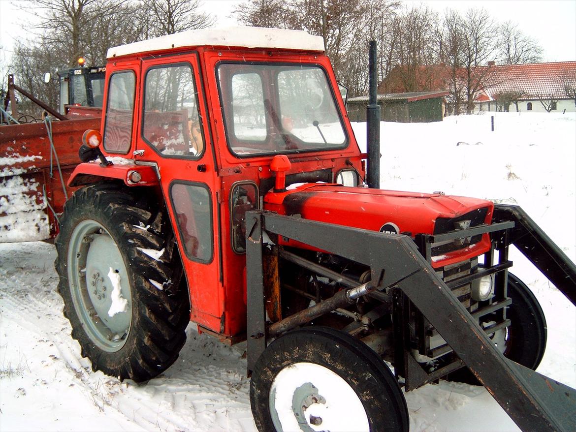 Massey Ferguson 135 billede 2