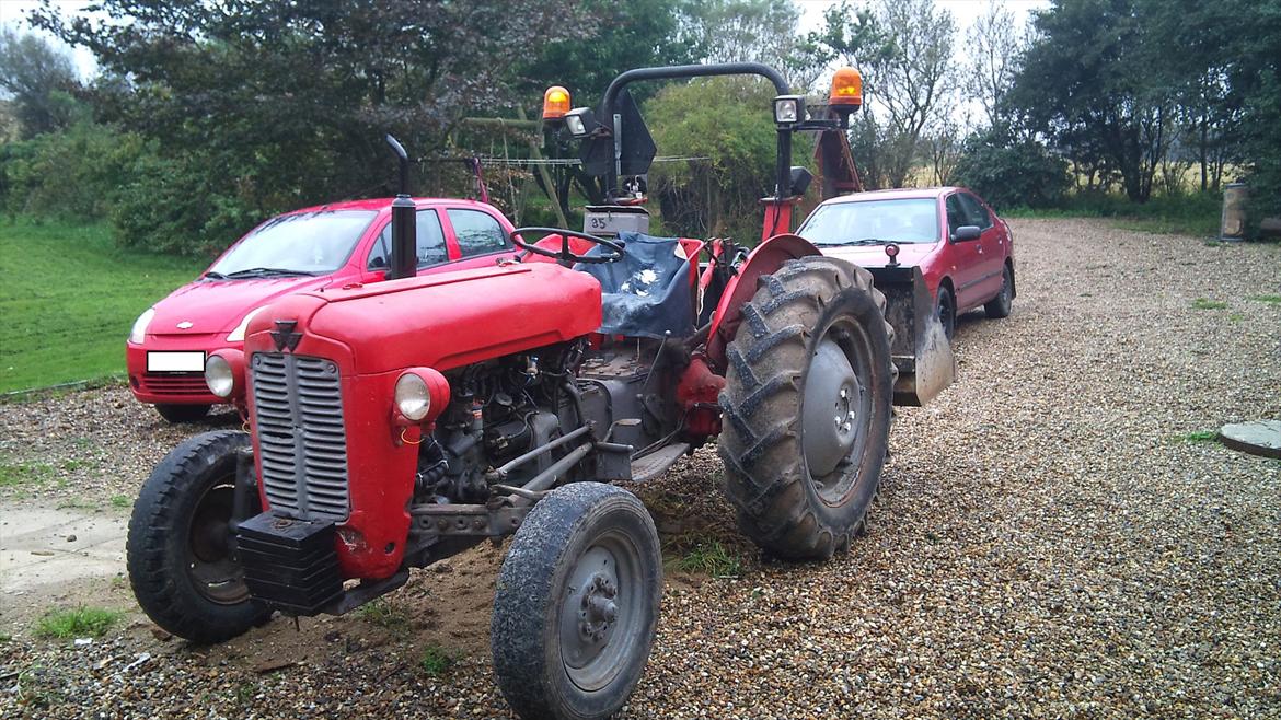 Massey Ferguson 35 billede 1