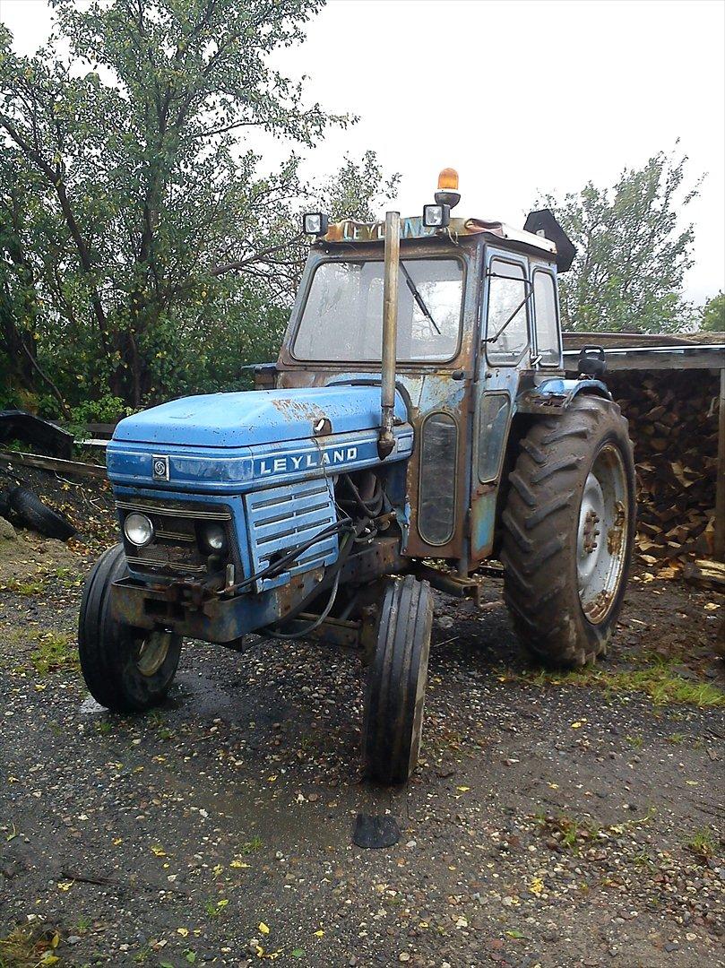 Leyland 344 projekt  billede 1