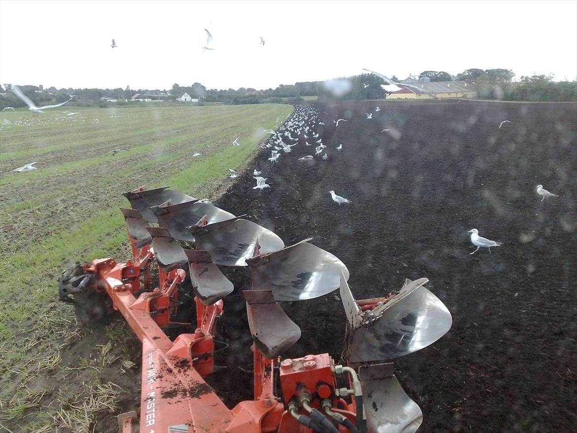 New Holland 8360 billede 5