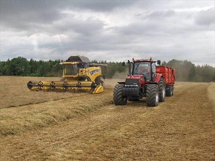 Case IH MX 285 billede 2