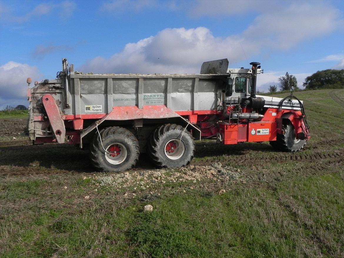 Terra Gator      2505 fuldblods billede 11