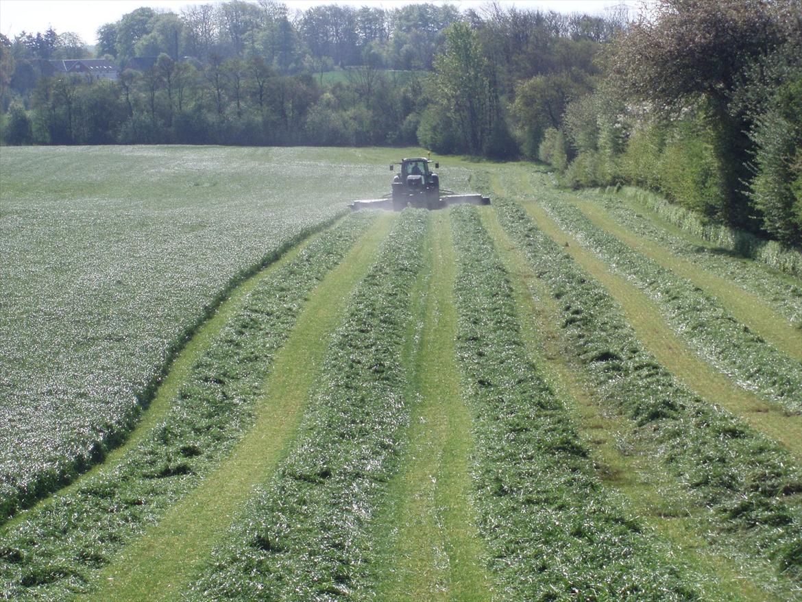 Fendt 930 vario TMS - så bliver der lagt lidt græs af billede 14