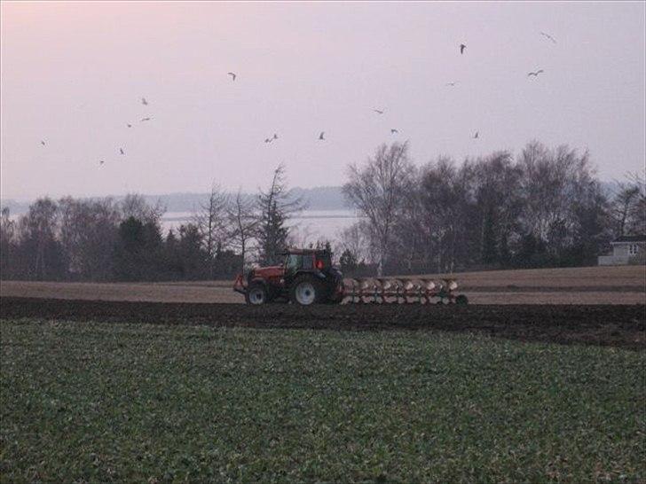 Valtra 8150 - her pløjer jeg  billede 6