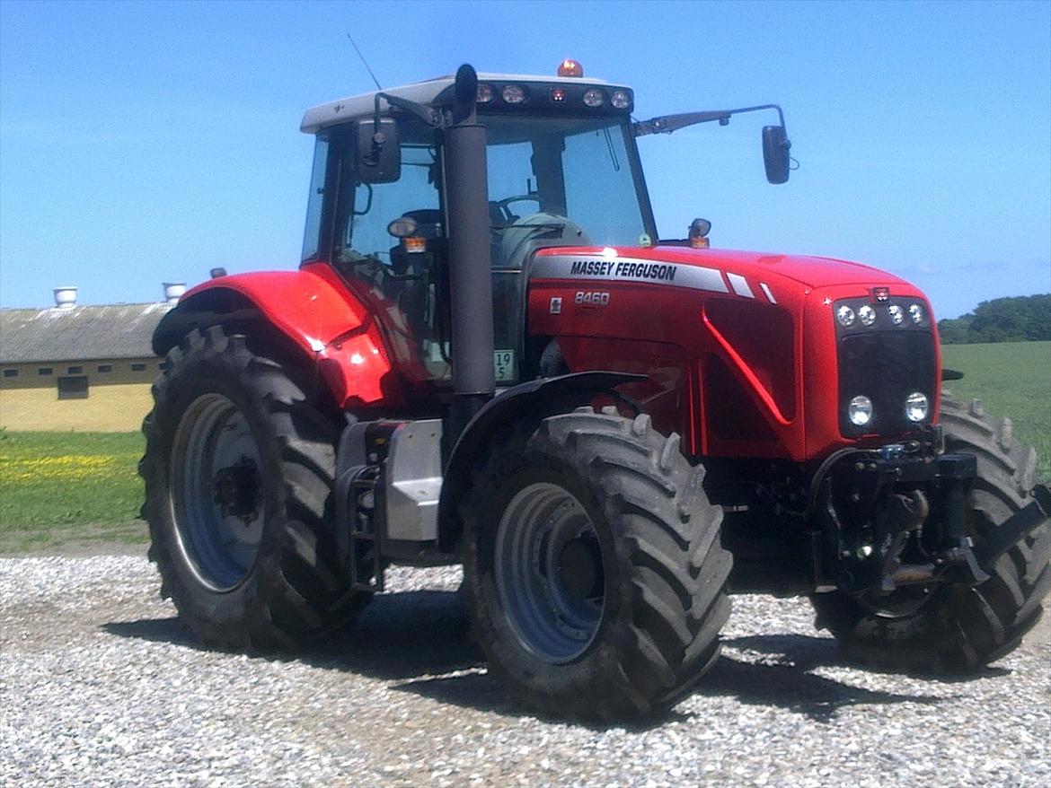 Massey Ferguson 8460 - sne mig lige ind på den mens den stod og tog sol :) billede 9