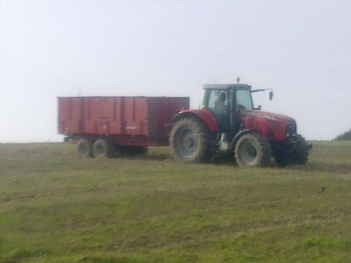 Massey Ferguson 8460 - en tidlig morgen midt i høsten  billede 10