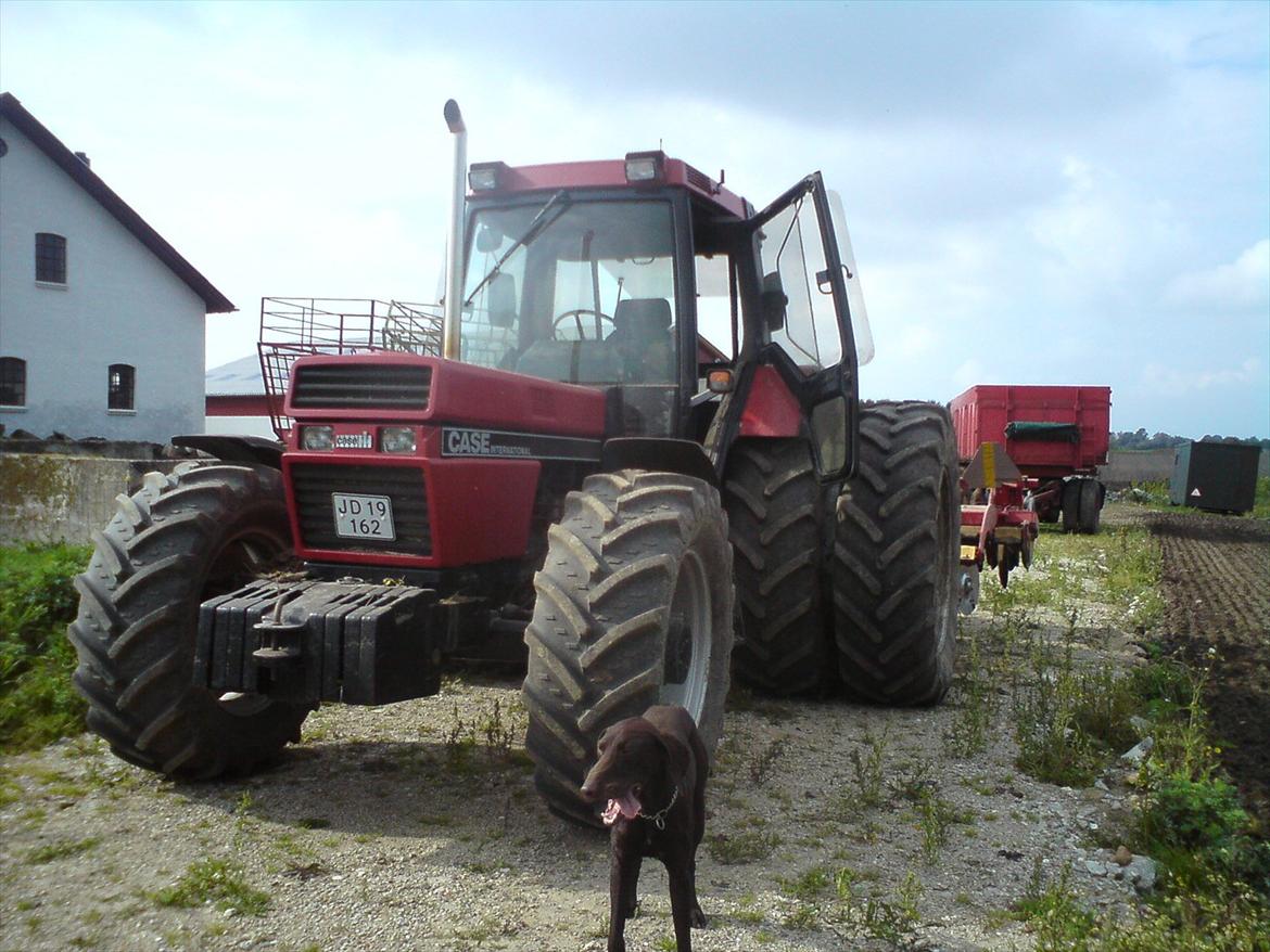 Case IH 956XL billede 2