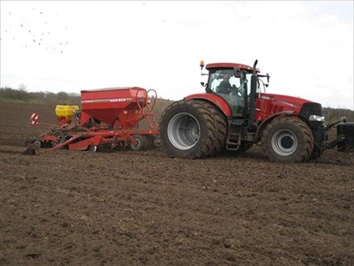 Case IH puma 210 - puma 210 med horch 6m. billede 3