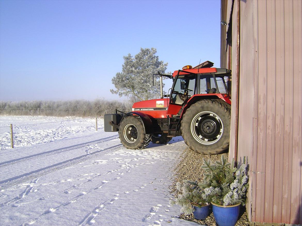 Case IH maxxum 5140 (GAMLE TØSEN) billede 12