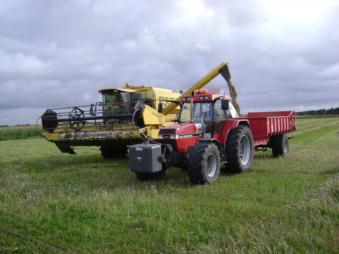 Case IH maxxum 5140 (GAMLE TØSEN) billede 3