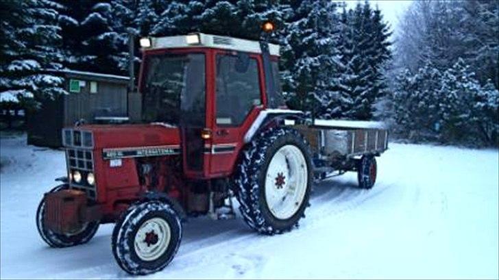 International Harvester 685 XL - Ude med roer til krondyrene i skoven. billede 8