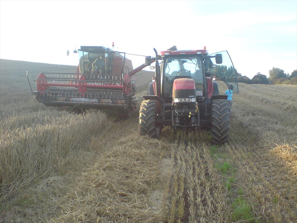 Case IH Mxu 135 billede 3