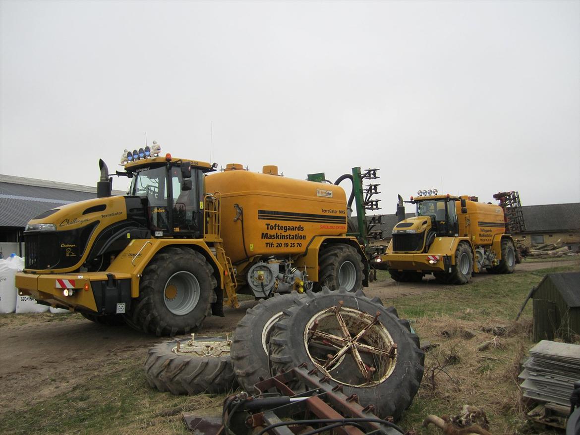 Challenger Terra gator 3244 billede 13