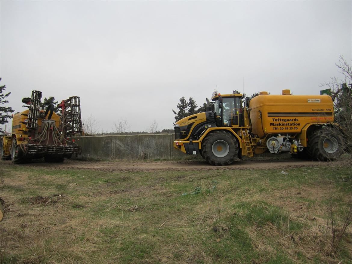 Challenger Terra gator 3244 billede 14