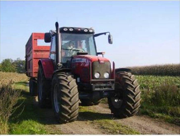 Massey Ferguson 6475 billede 1