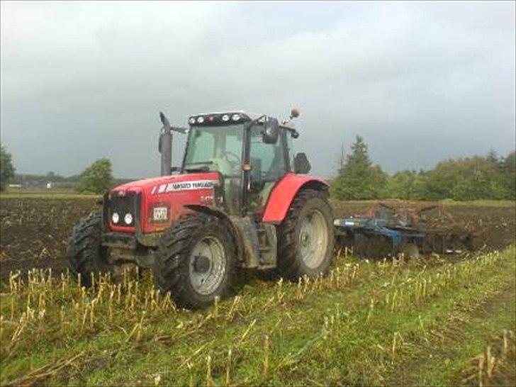 Massey Ferguson 6475 - Harver majsstub, med 4m dalbo tallerkenharve, monteret med mark stig stubharve billede 5