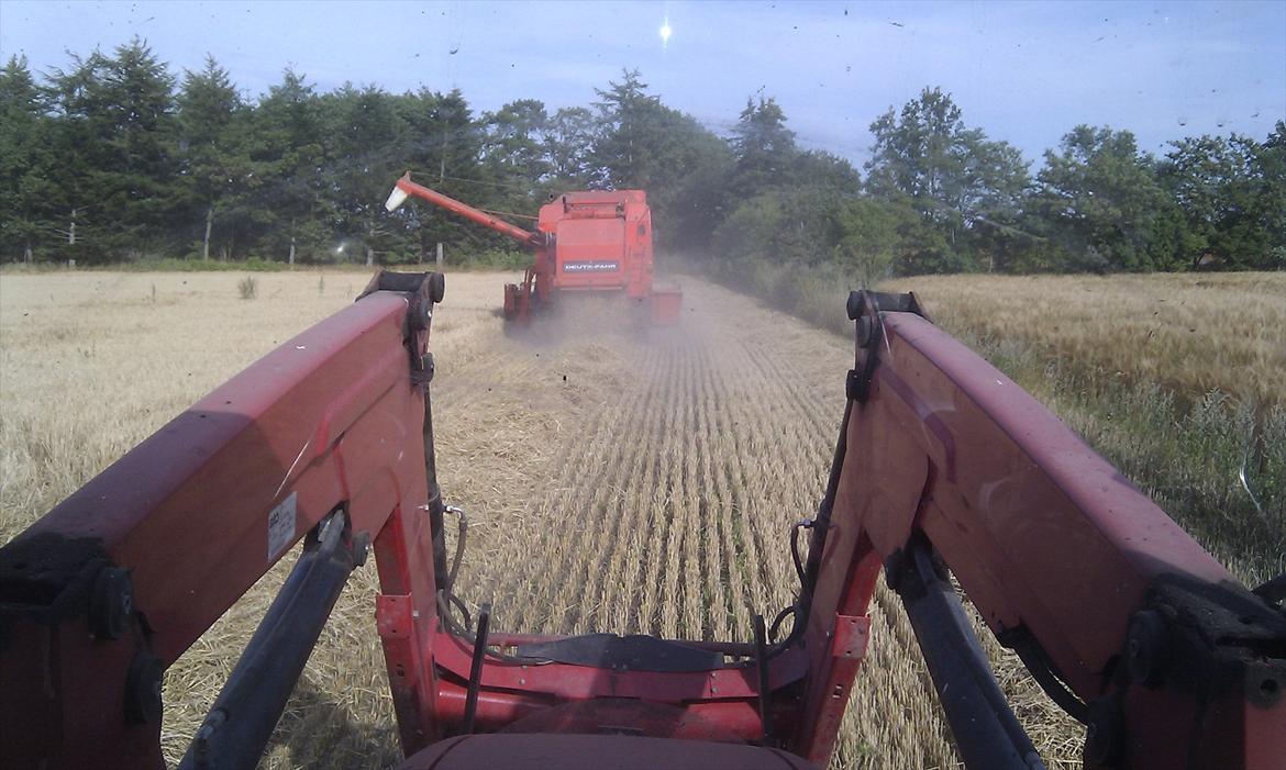 Massey Ferguson 5455 billede 2