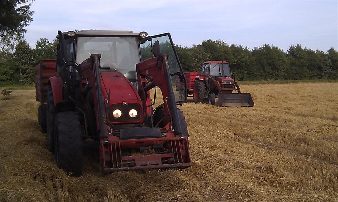 Massey Ferguson 5455 billede 3