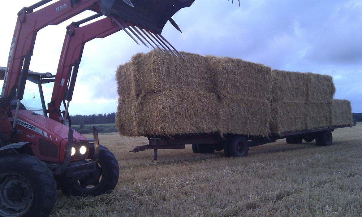 Massey Ferguson 5455 billede 5