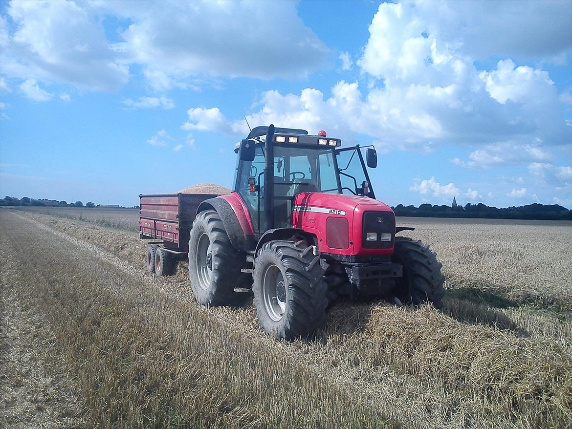 Massey Ferguson 8210 PowerControl billede 7