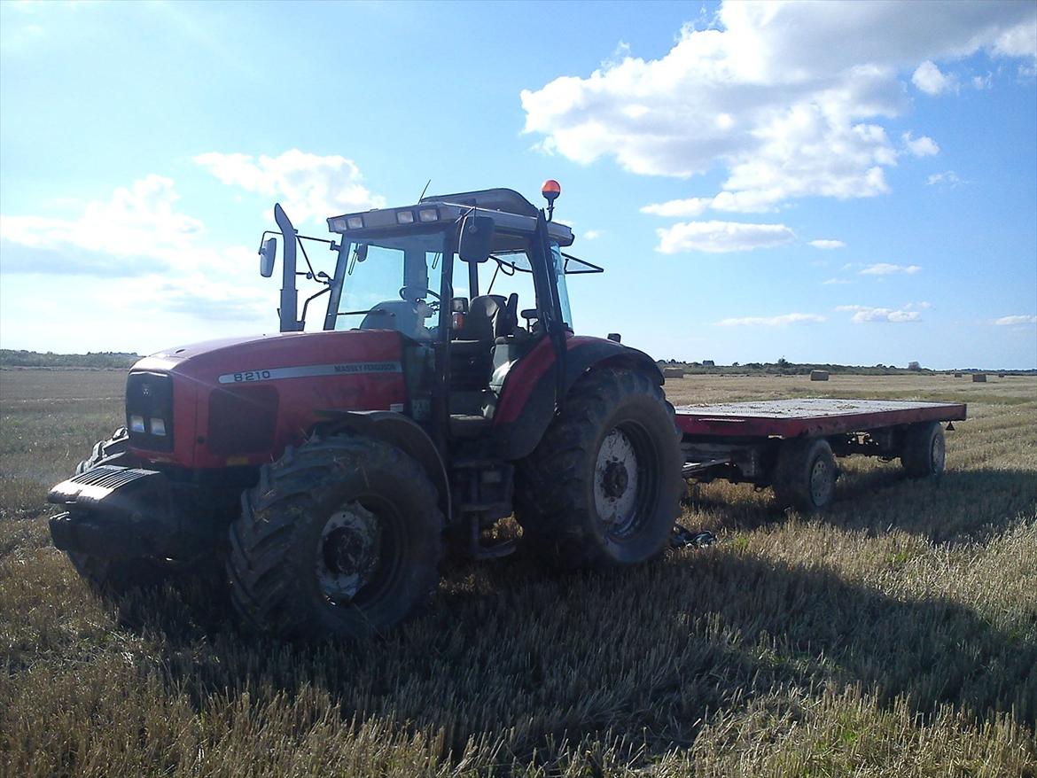 Massey Ferguson 8210 PowerControl billede 9