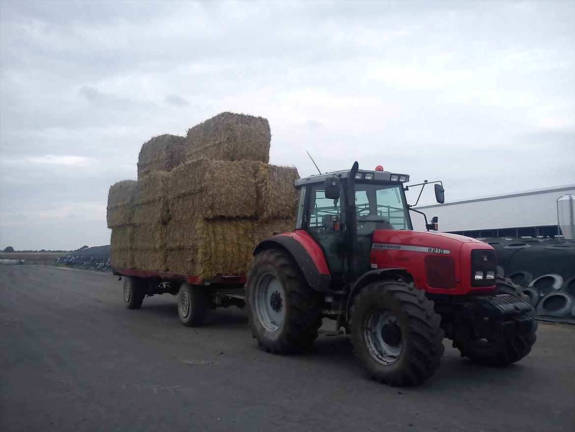 Massey Ferguson 8210 PowerControl billede 13