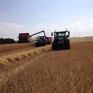 Fendt 516 Vario TMS.