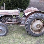 Ferguson 26