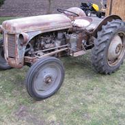 Ferguson 26