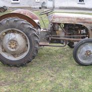 Ferguson 26