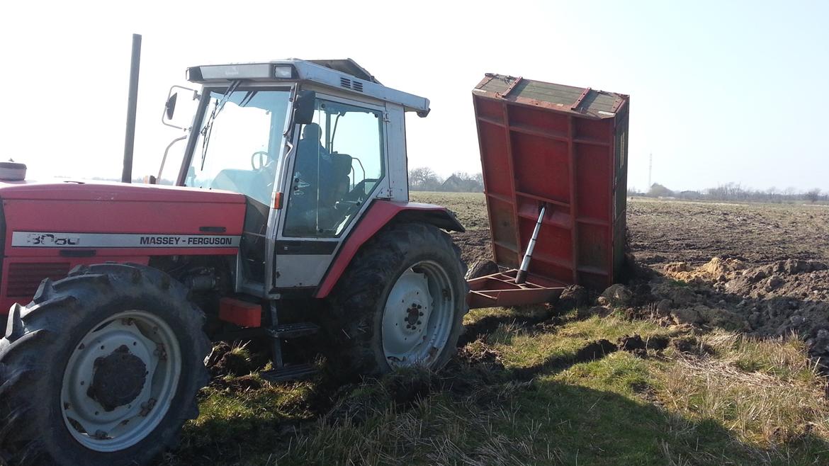 Massey Ferguson 3080 billede 17