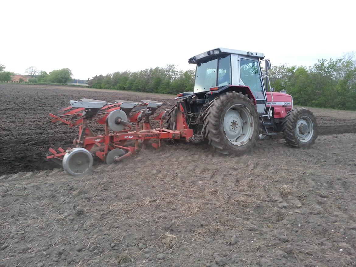 Massey Ferguson 3080 billede 21