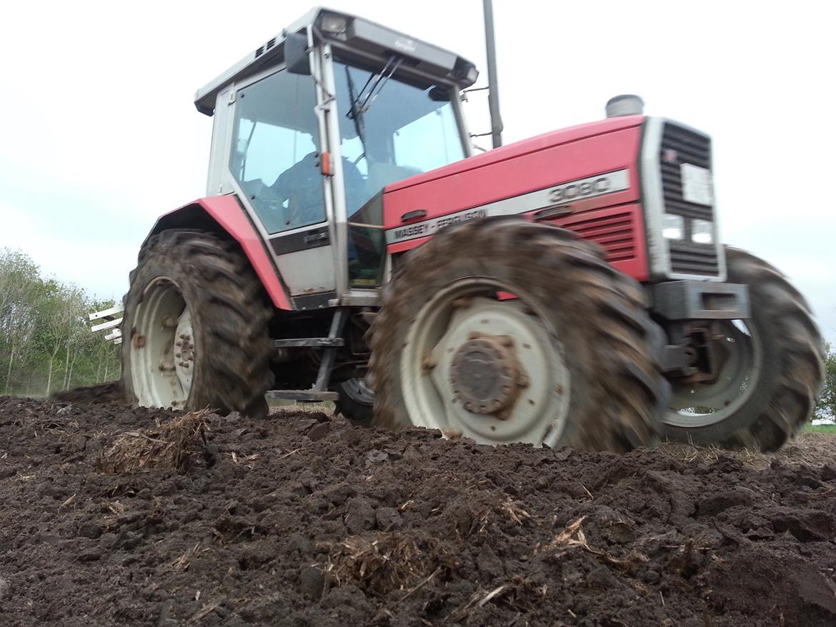 Massey Ferguson 3080 billede 22