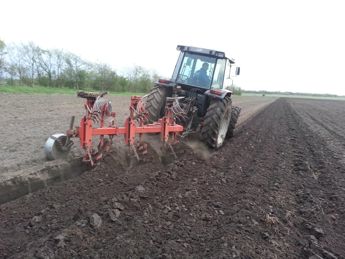 Massey Ferguson 3080 billede 23