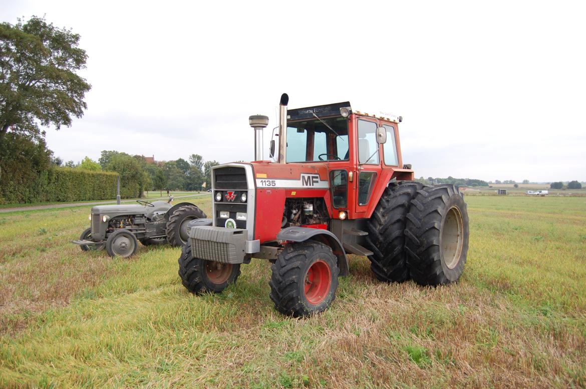 Massey Ferguson 1135 billede 5