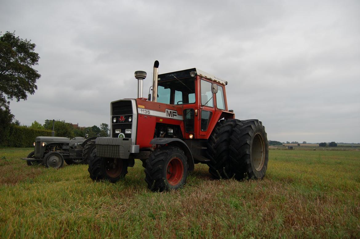 Massey Ferguson 1135 billede 1