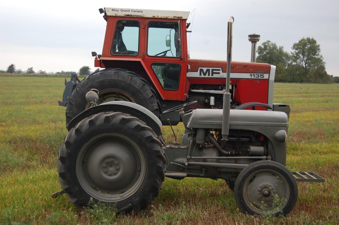 Massey Ferguson 1135 billede 11