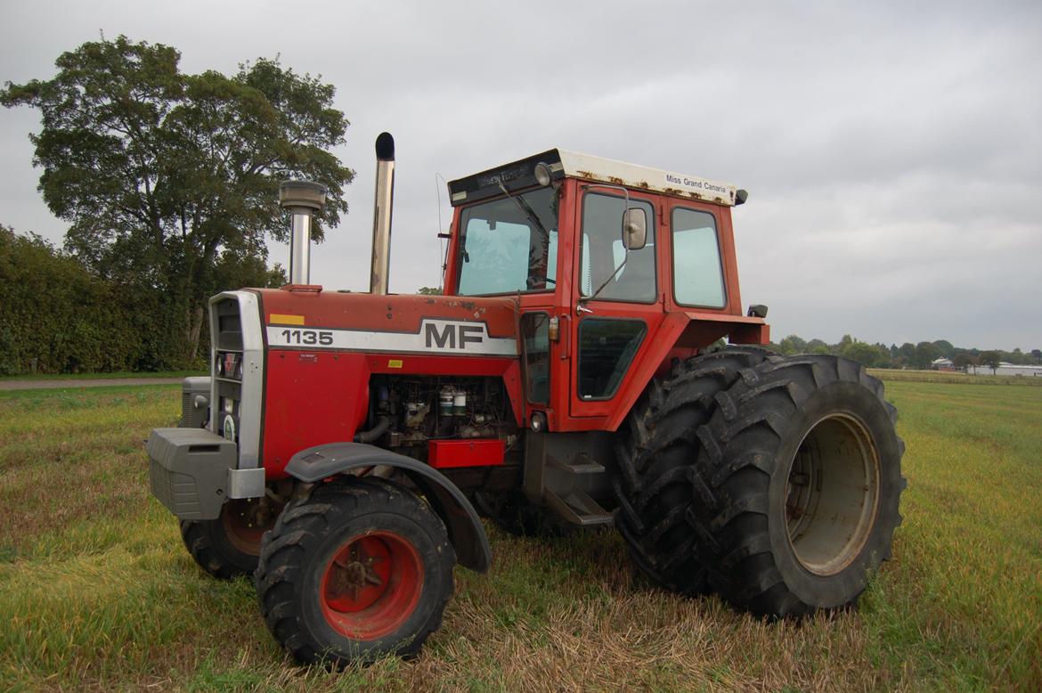 Massey Ferguson 1135 billede 16