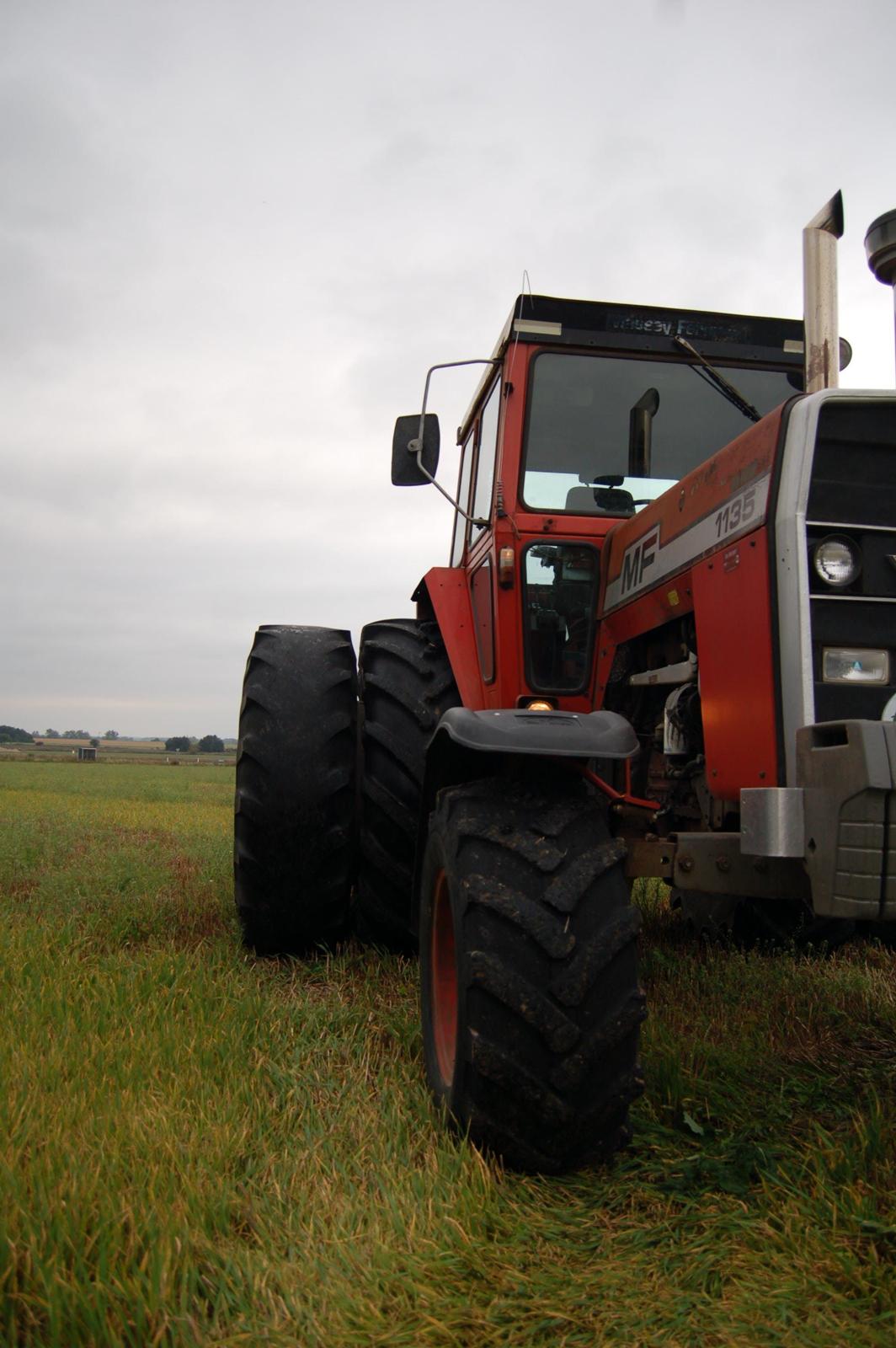 Massey Ferguson 1135 billede 9