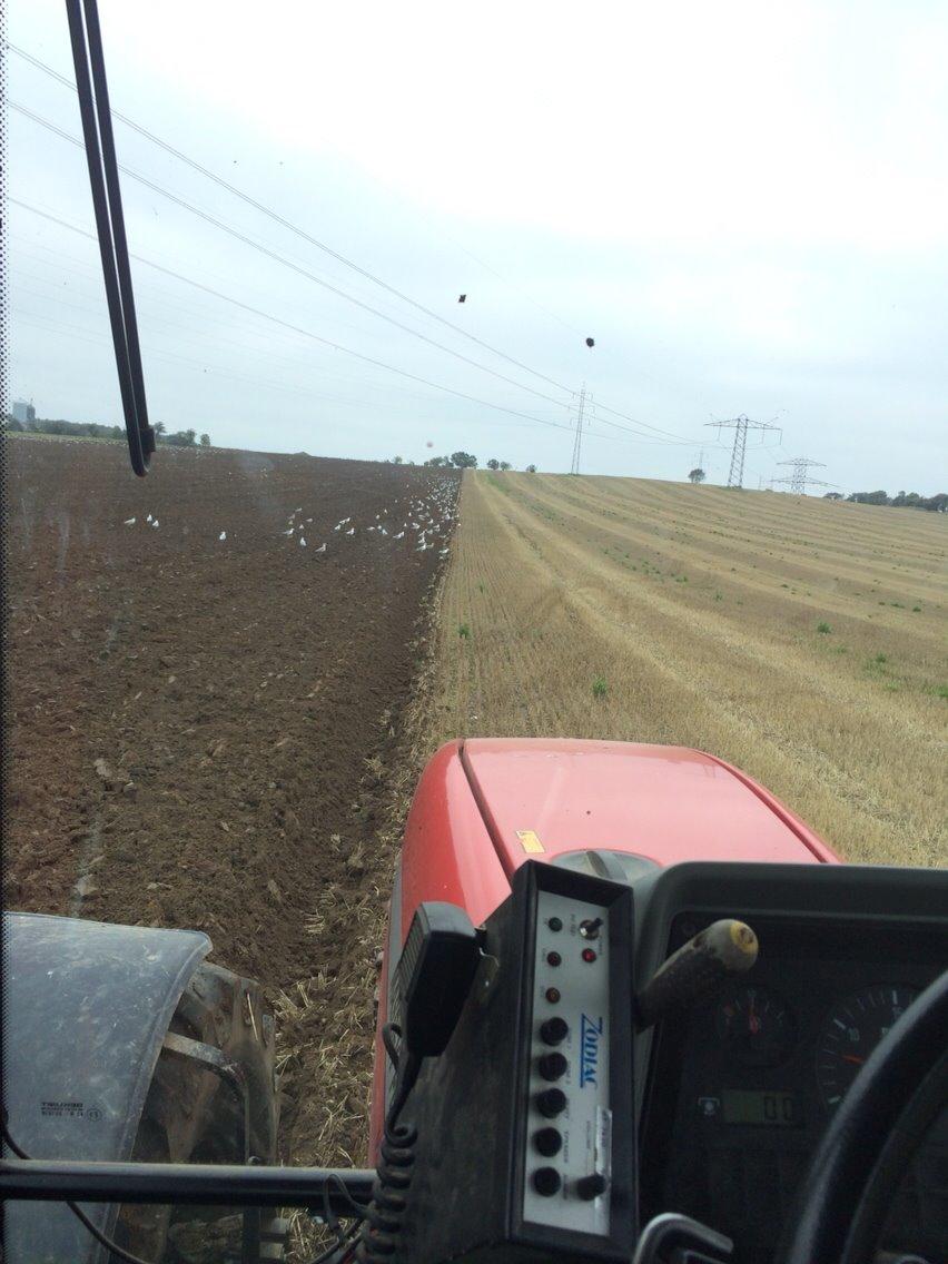 Massey Ferguson 8250 billede 11