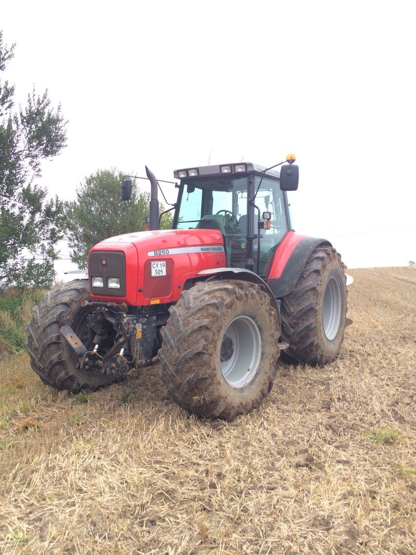 Massey Ferguson 8250 billede 14