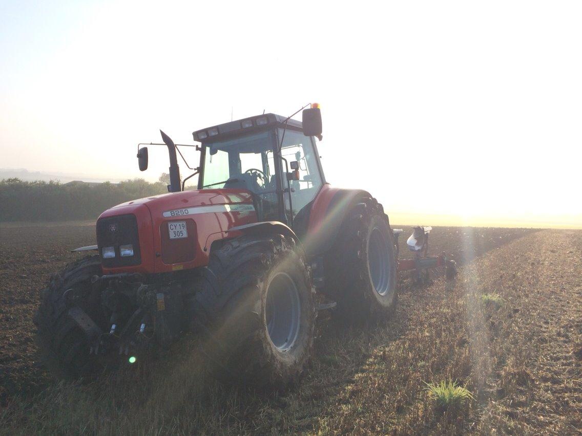 Massey Ferguson 8250 billede 17